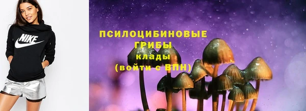 молекула духа Балахна