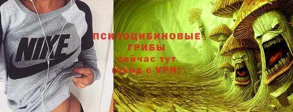 спайс Баксан
