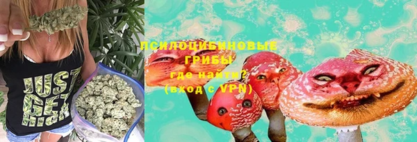 молекула духа Балахна